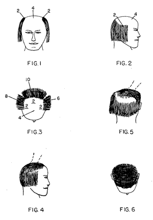 wacky patent illustration