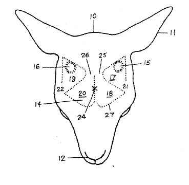 wacky patent illustration