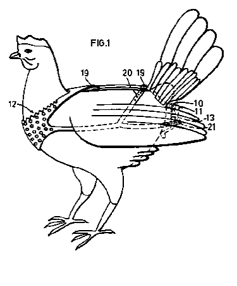 wacky patent illustration