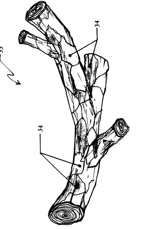 wacky patent illustration